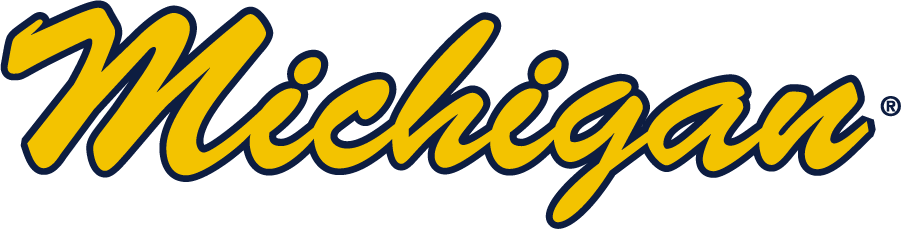 Michigan Wolverines 2016-Pres Wordmark Logo v3 diy DTF decal sticker